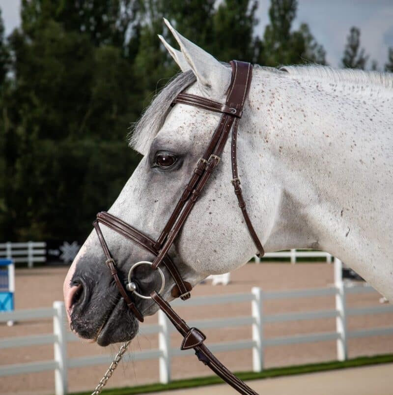 Вуздечка з комбінованим капсюлем Flash Noseband від Dyon