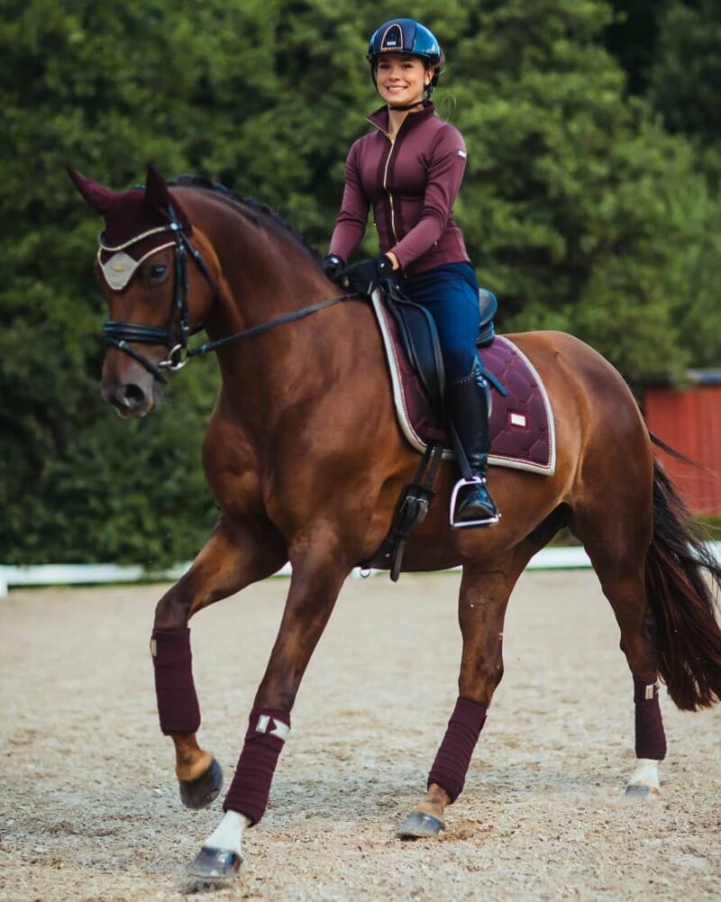 Вальтрап виїздковий Crystal від Equestrian Stockholm