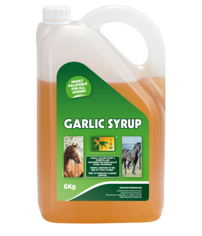 Сироп чесночный с глюкозой Garlic Syrup от TRM, 6 кг.