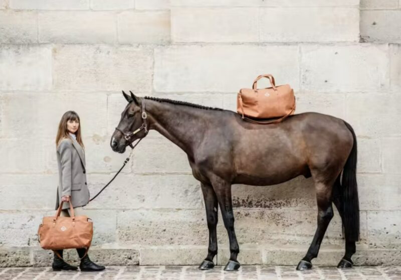 Сумка для подорожей Chestnut Weekend від Kentucky