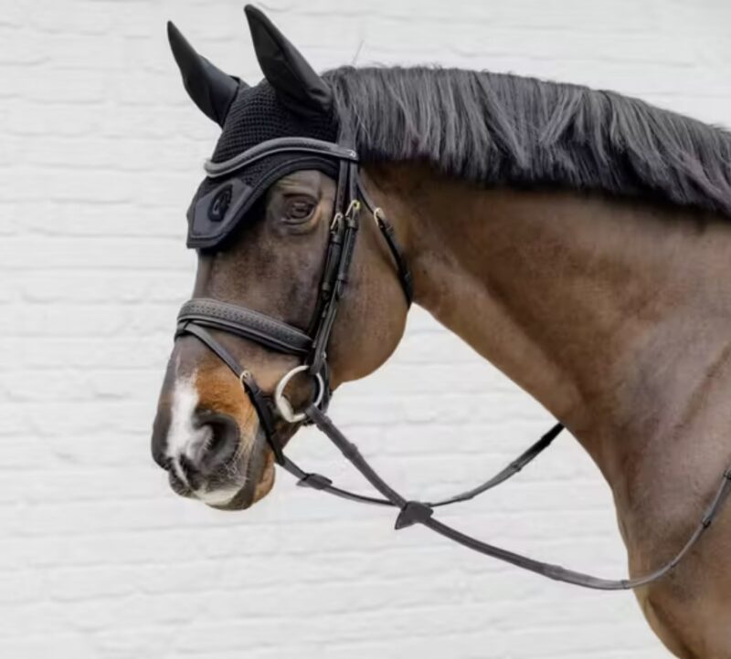 Вуздечка з комбінованим капсюлем Plaited Flash Noseband від Dyon