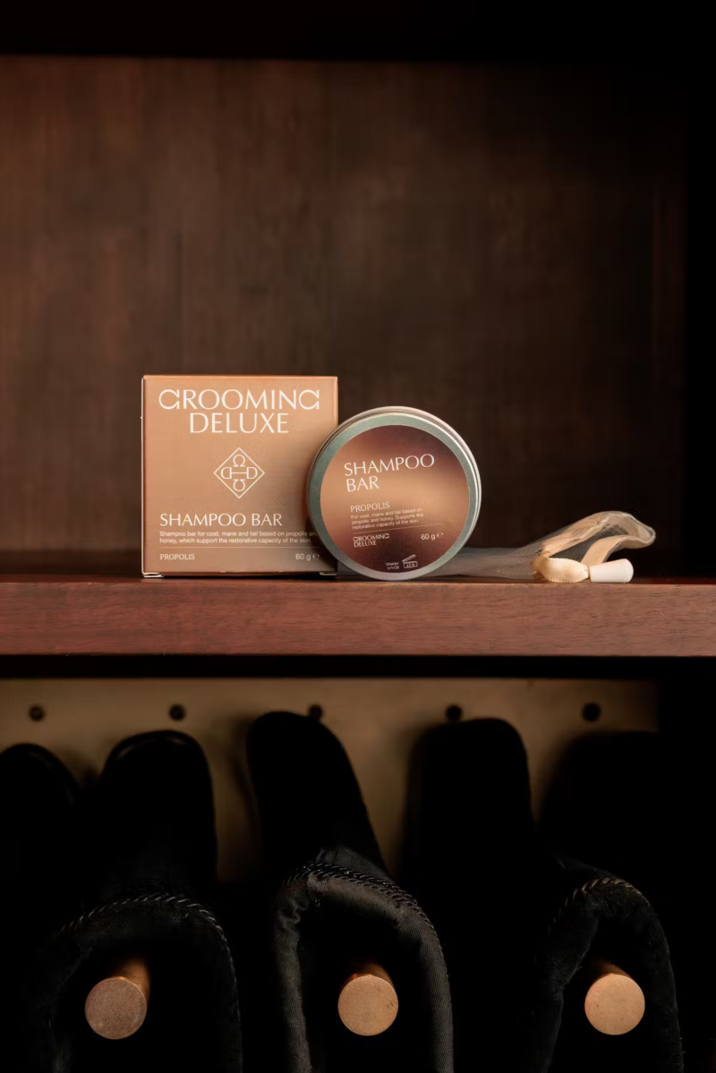 Шампунь з ароматом прополісу Bar Propolis GD від Kentucky, 60 г