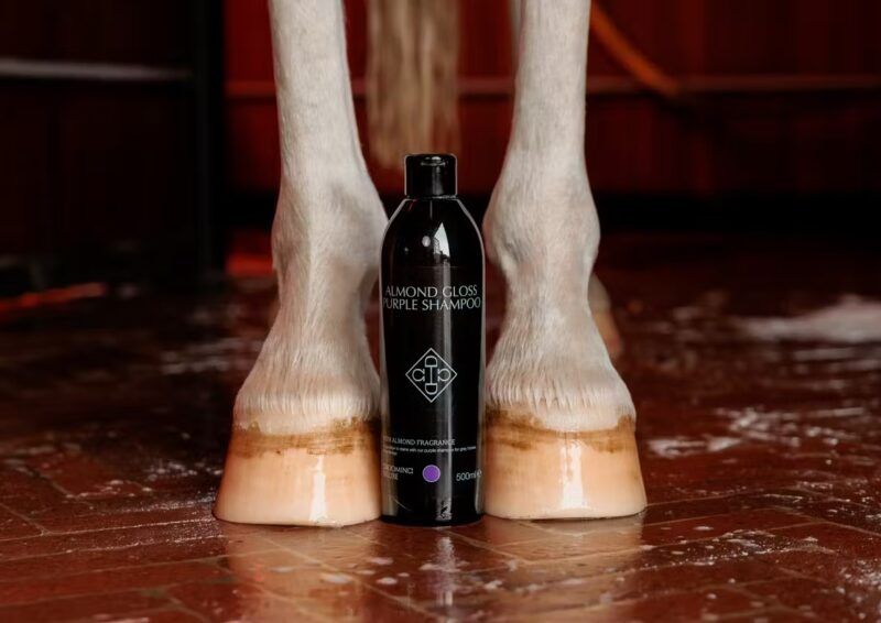 Шампунь для виведення плям  Almond Gloss Purple Grooming Deluxe від Kentucky, 500 мл