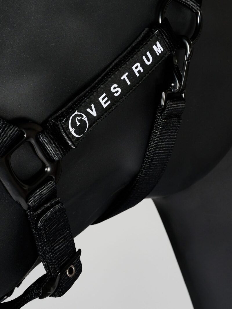 Недовуздок з неопреном + чумбур Locri від Vestrum