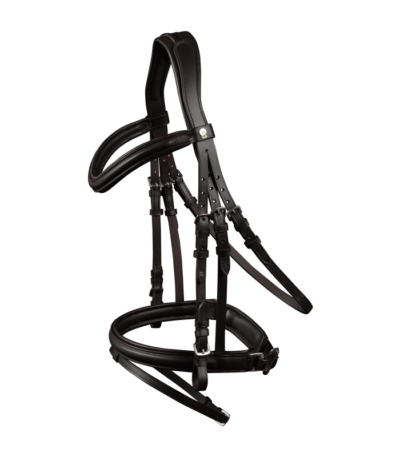 Вуздечка з комбінованим капсюлем X-Line Bridle Stockholm з тасьмяним повіддям від Waldhausen